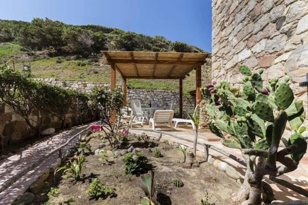 고네사 Antica Tonnara Porto Paglia 빌라 외부 사진